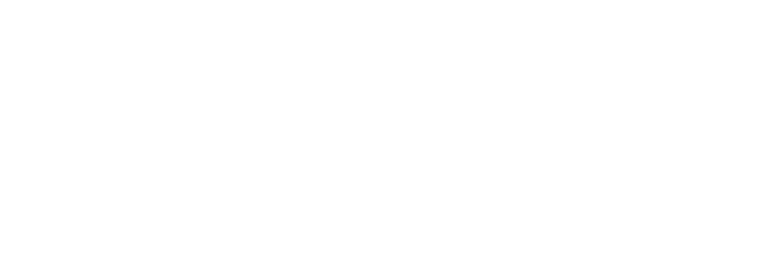 Fitz Industries